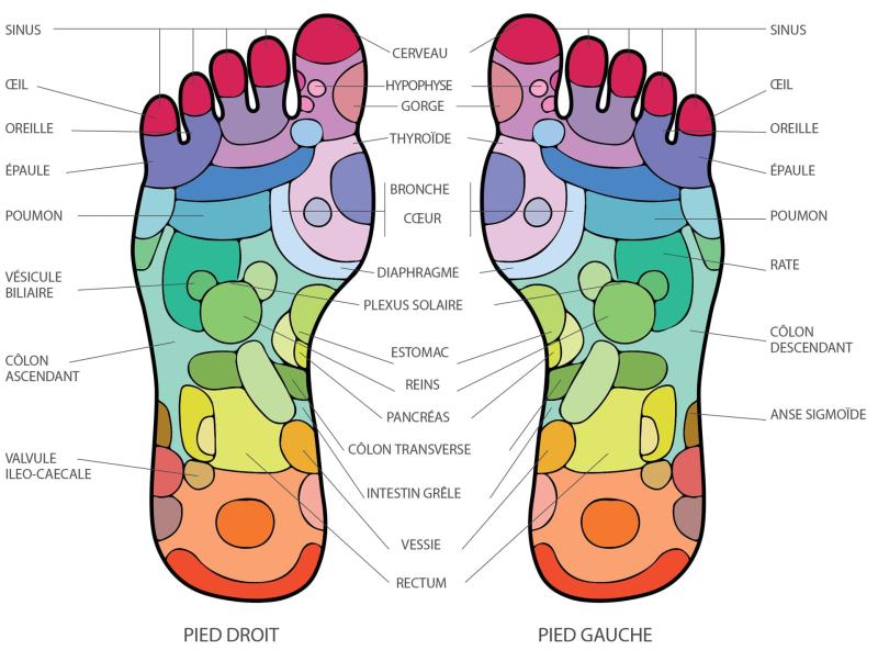 réflexologie plantaire